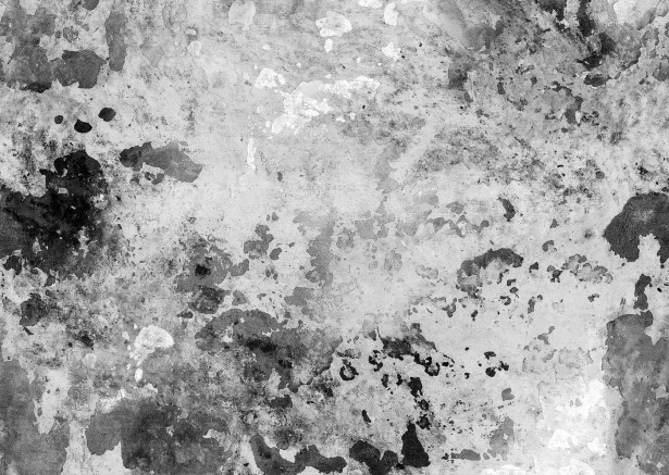 Kuvatapetti Rebel Walls Fragments Charcoal, non-woven, mittatilaus