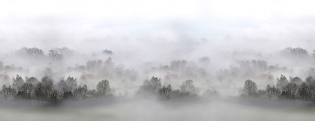 Kuvatapetti Rebel Walls Morning Fog, non-woven, mittatilaus