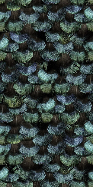 Kuvatapetti Rebel Walls Peacock Plumage, non-woven, mittatilaus