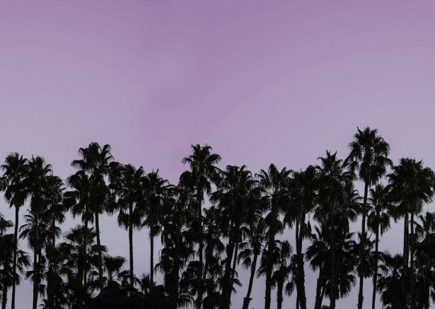 Kuvatapetti Rebel Walls Riviera Daydream Dusk, non-woven, mittatilaus