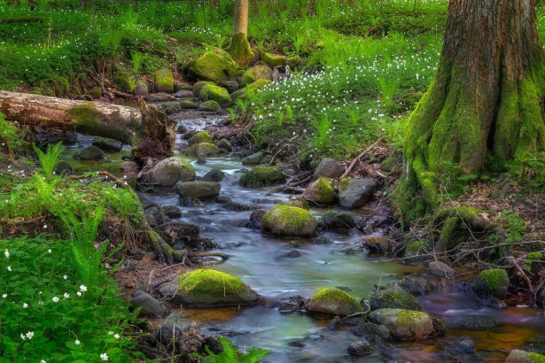 Kuvatapetti Rebel Walls Stream, non-woven, mittatilaus