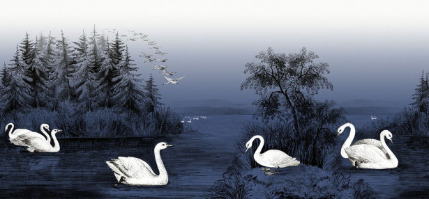 Kuvatapetti Rebel Walls Swan Lake Nightfall, non-woven, mittatilaus