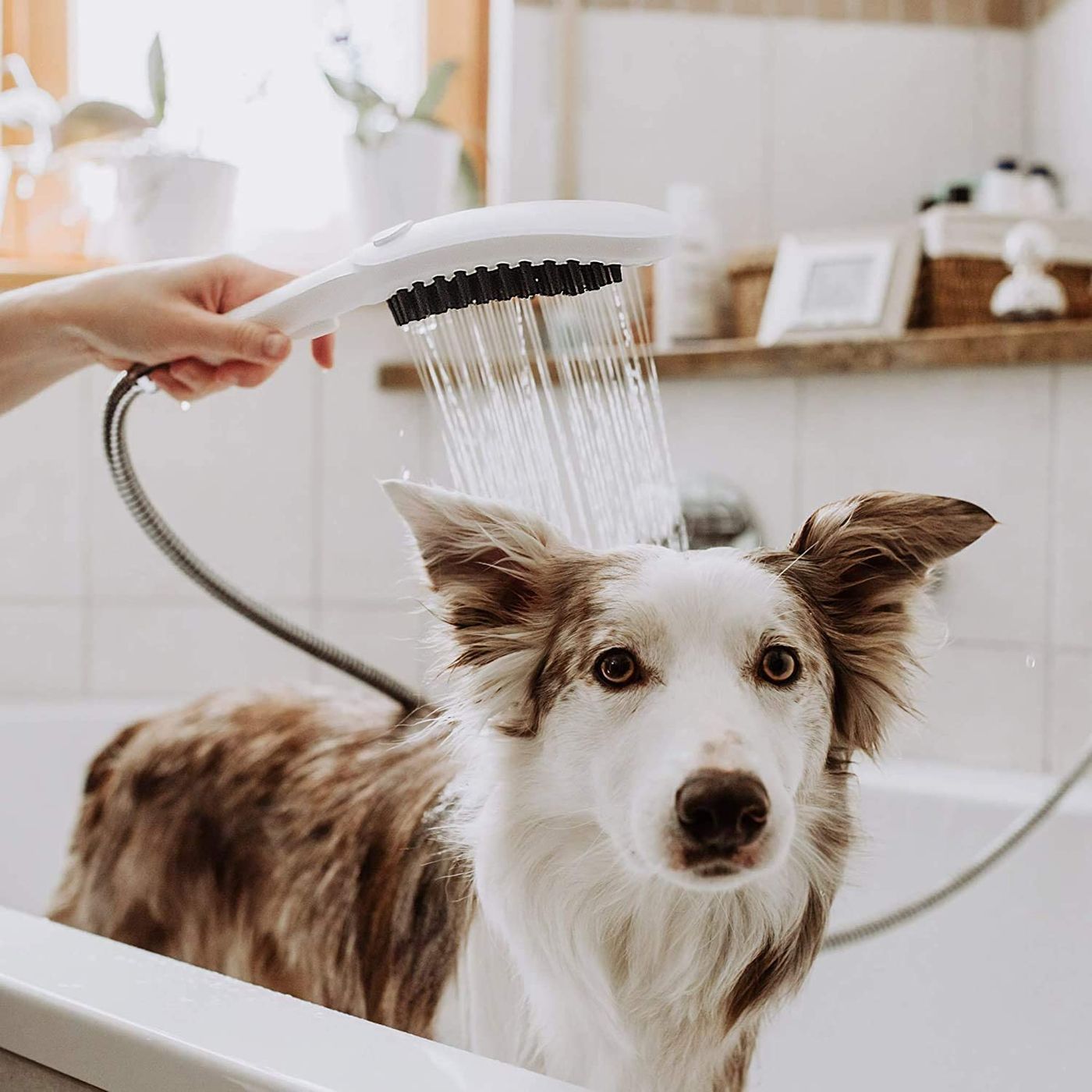 Koirasuihku Hansgrohe DogShower 150 3jet select, eri värejä lisäkuva