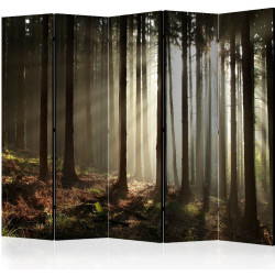 Sermi Artgeist Coniferous forest II, 225x172cm