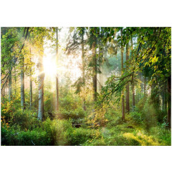 Sisustustarra Artgeist Untamed Nature, 315x441cm