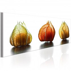 Canvas-taulu Artgeist Winter Cherry , 40x120cm