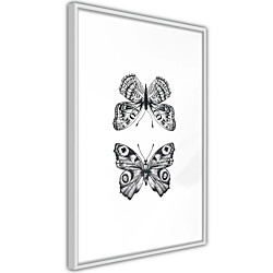 Juliste Artgeist Two Butterflies, musta kehys, 45x30cm