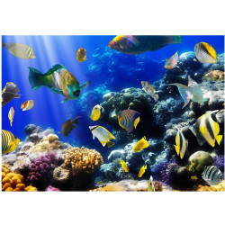 Kuvatapetti Artgeist Underwater adventure, 105x150cm