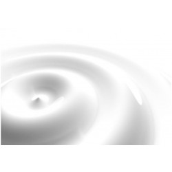 Kuvatapetti Artgeist White Swirl, 70x100cm, valkoinen
