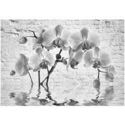 Kuvatapetti Artgeist Orchid in Shades of Gray, 140x200cm