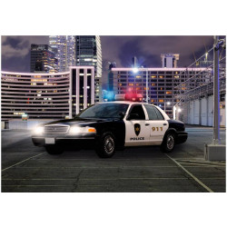 Kuvatapetti Artgeist Police car, 70x100cm, harmaa, mattapintainen