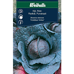 Kaalinsiemenet Weibulls punakaali