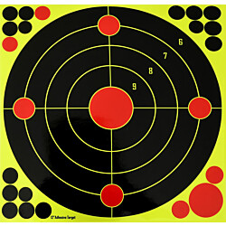 Maalitaulut 5etta 30x30cm 10-pack
