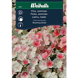 Floksi Weibulls Blushing Bride