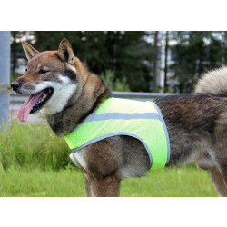 Koiran huomioliivi Brava ATTE, neonkeltainen, S 45-55cm