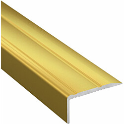 Kynnyslista Lundbergs Standard 25x2000mm alumiini kulta