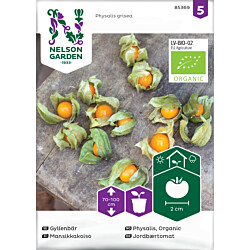 Mansikkakoiso Nelson Garden Organic, siemenet