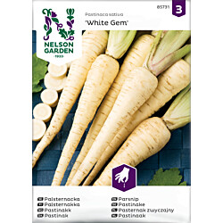 Palsternakka Nelson Garden White Gem, siemenet