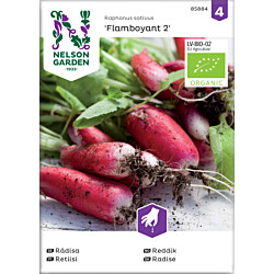 Retiisi Nelson Garden Flamboyant 2 Organic, siemenet