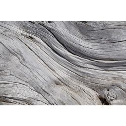 Kuvatapetti Dimex Tree Texture, 375x250cm, harmaa, puukuosi