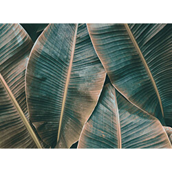 Kuvatapetti A.S. Creation Designwalls Banana Leaves 2, 350x255cm, oranssi/sininen