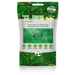 Persiljan siemenet Turfquick, kasvualustalla