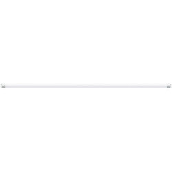 LED-putki Paulmann Tube, G13, 1214mm, 1800lm, 17.8W, 3000K, opaali