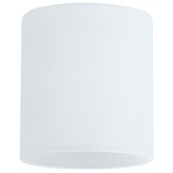 Lasikupu Paulmann DecoSystems Zyli Ø 70x80 mm valkoinen