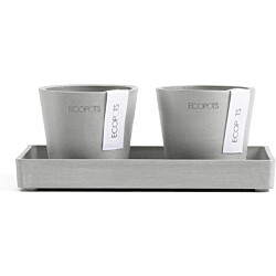 Kukkaruukut tarjottimella Ecopots Amsterdam 8cmx2kpl & esillepanotarjotin 20cm valkoharmaa