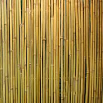 Bambuaita Home4You In Garden, 100x300cm