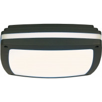 LED-ulkokattoplafondi Aneta Lighting Quadro, 30x30cm, IP54, tummanharmaa/valkoinen