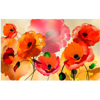 Kuvatapetti Artgeist Velvet poppies, 280x450cm, punainen