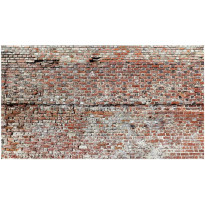 Kuvatapetti Red Border, XXL, 500x280cm, ruskea, tiilikuosi