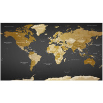 Sisustustarra Artgeist World Map: Modern Geography II, 280x490cm