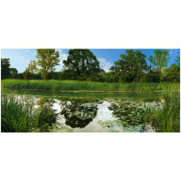 Sisustustarra Artgeist The Magic Pond III, 280x588cm