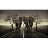 Kuvatapetti Artgeist Kaupungin norsuja, 270x450cm
