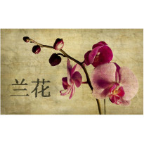 Kuvatapetti Artgeist Japanese orchid, 270x450cm, beige