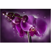 Kuvatapetti Artgeist Fairy tale and orchid, 270x450cm