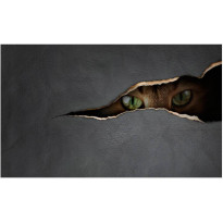 Kuvatapetti Artgeist Kissan silmäys, 270x450cm
