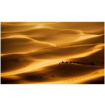 Maisematapetti Artgeist Caravan camels, 270x450cm