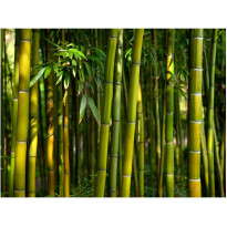 Kuvatapetti Artgeist Asian Bamboo Forest, eri kokoja