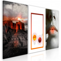 Canvas-taulu Artgeist Passion, 3-osainen, 60x120cm