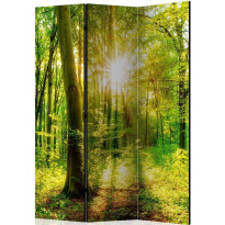 Sermi Artgeist Forest Rays, 135x172cm