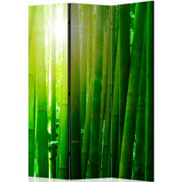 Sermi Artgeist Sun and bamboo, 135x172cm