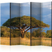 Sermi Artgeist African acacia tree, Hwange National Park, Zimbabwe II, 225x172cm