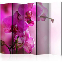 Sermi Artgeist Pink orchid, 225x172cm
