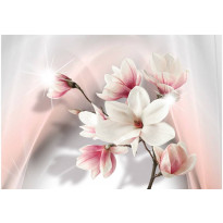 Kuvatapetti Artgeist White magnolias, eri kokoja