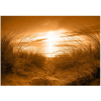 Sisustustarra Artgeist Sepia Beach, eri kokoja