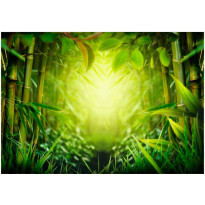 Sisustustarra Artgeist Forest fairy, eri kokoja