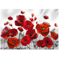 Sisustustarra Artgeist Poppies in the Moonlight, eri kokoja